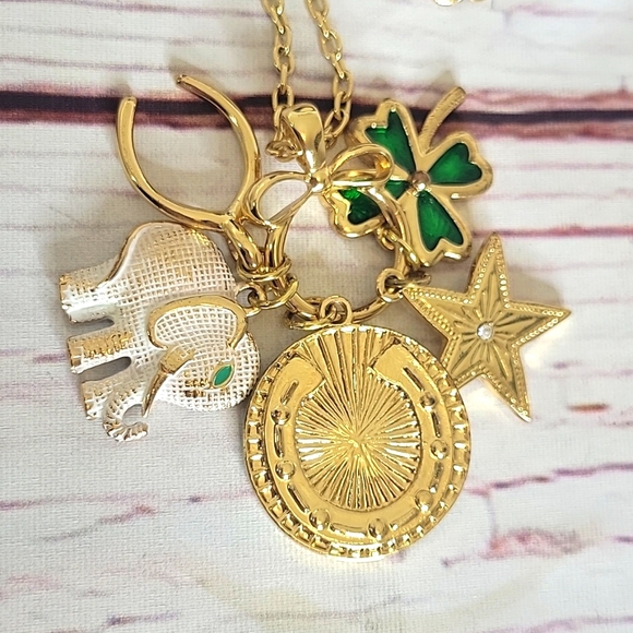 Lilly Pulitzer Jewelry - LILLY PULITZER Long Lucky Charm Necklace